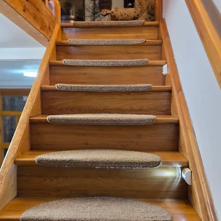 Apartmán Zacisze 13 *