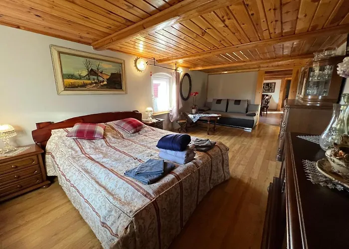 شقة Zacisze 13 ليشنا